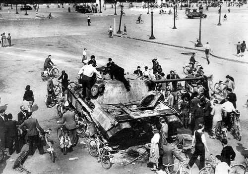 Panther in Paris.