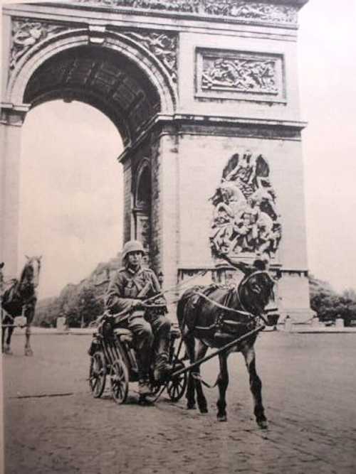 Donkey cart in Paris