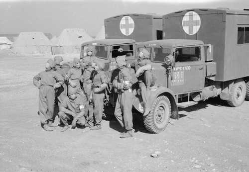 RAF typhus team