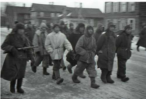 Captured Germans in the area of Krasny Bor. 1943