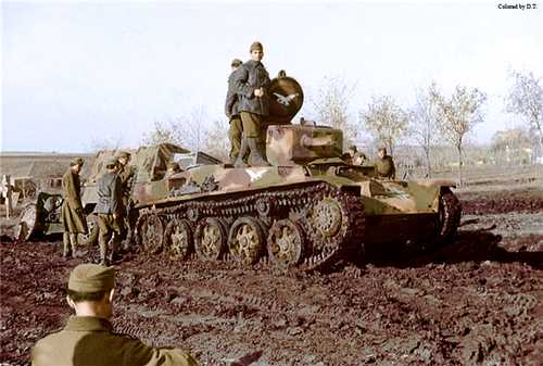 Hungarian lorry into mud.