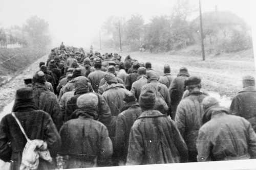 Prisoners of the Reich 