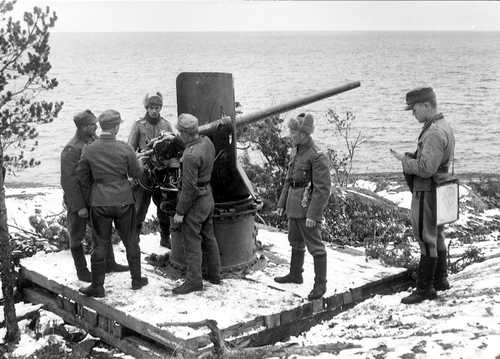 Coastal gun