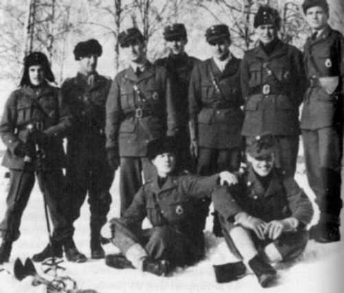 Flight Regiment 19 (Swedish volunteers)