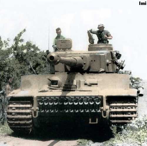 Tiger