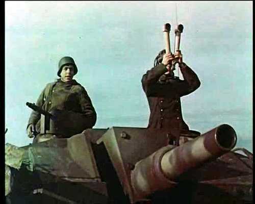 Stug at the Seelow heights.