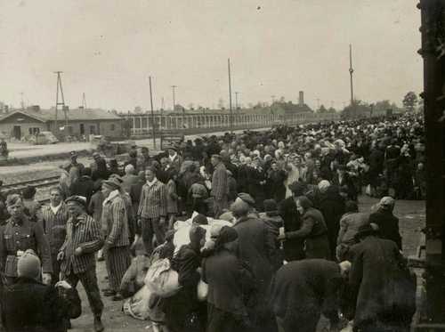 Auschwitz- on the selection ramp