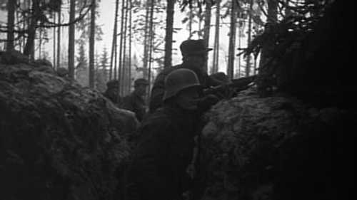 Trench