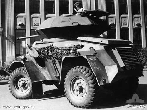 Rhino AFV (Side/Rear View)