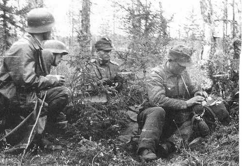 Fallen finns