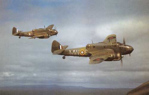 beauforts
