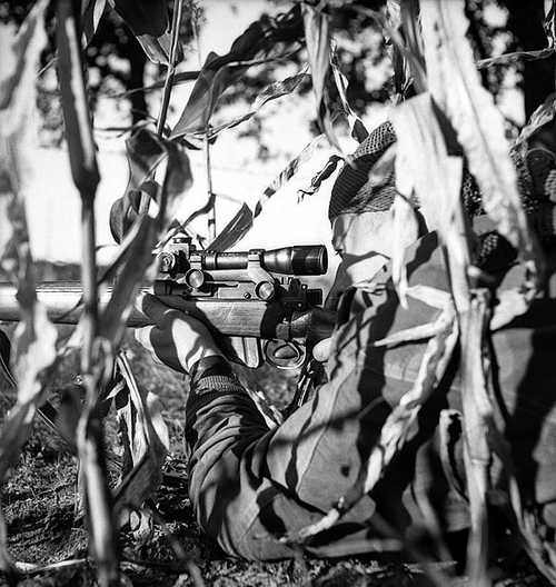 A Calgary Highlander Sniper