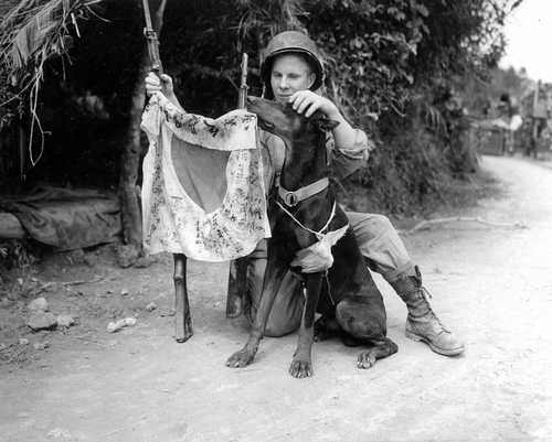 Help to hold the flag