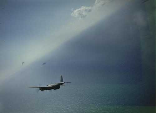 A Malta’s Mosquito