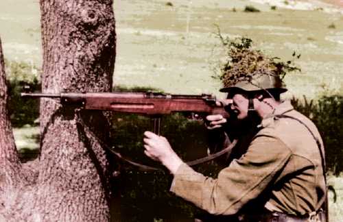 Hungarian Danuvia machine gun.