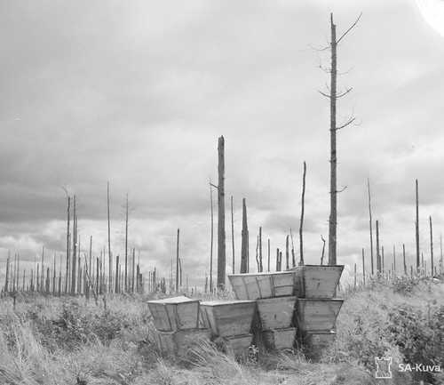 Burying the unknown