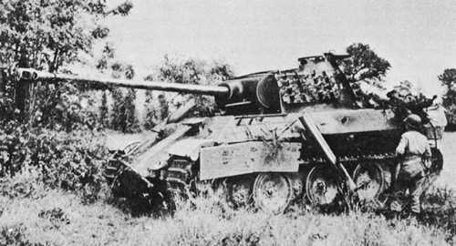 Very dead Panther.