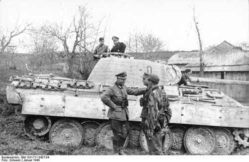 Panther 