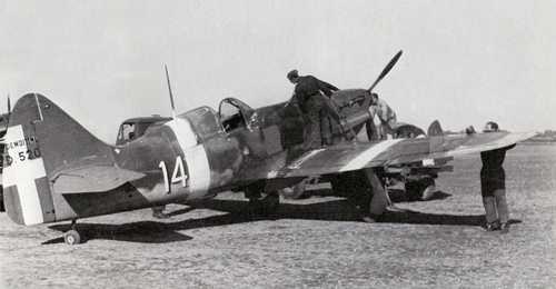 Also French fighters for the last battle