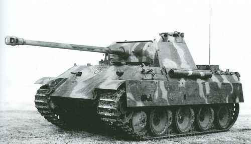 Camo Panther