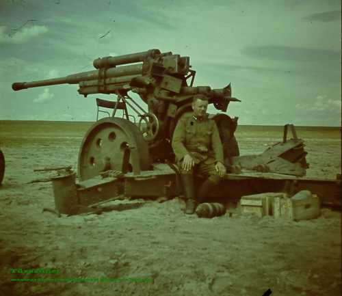 cease-fire