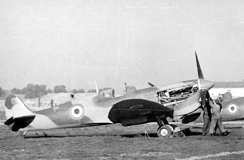Spitfire Co-Belligerent