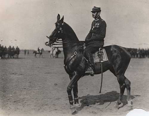 In the Polish cavalry
