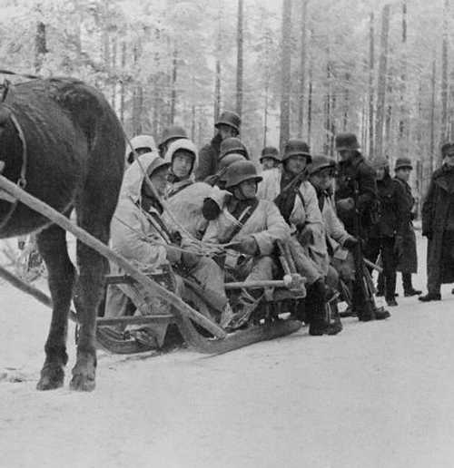 sled
