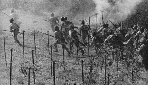 Barbed Wire