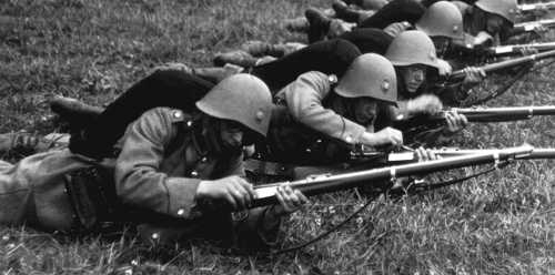 Royal Danish Army
