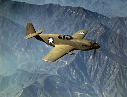 P-51 Mustang in Flight