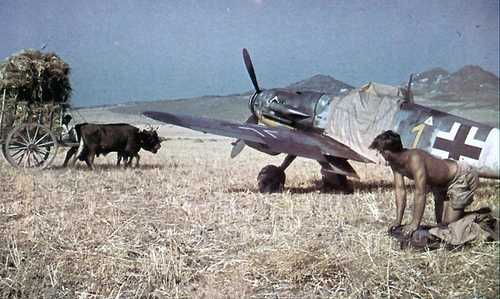 Cartload of hay and Messerschmitt 109