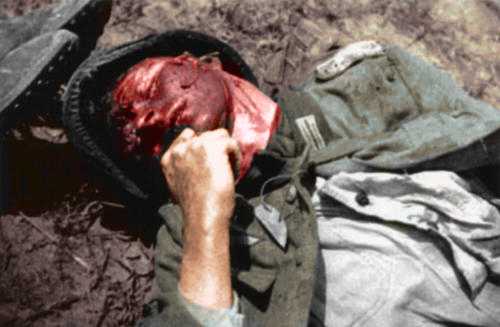 Bloody Truth of War