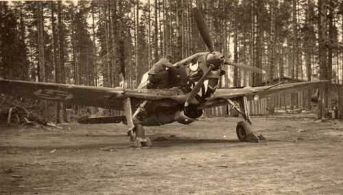 Unusual nose art