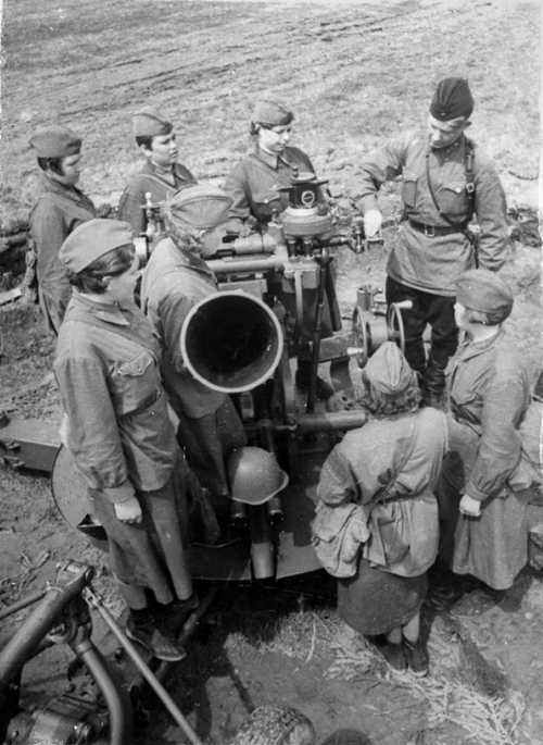 Anti-aircraft gunners