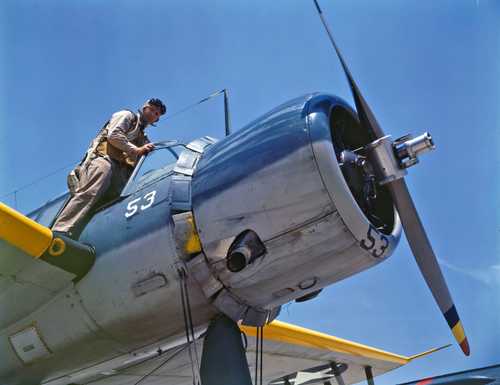 Naval Aviation Cadet