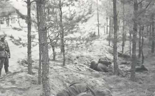 Fallen Polish soldiers 1939