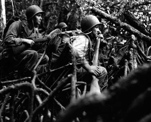 Jungle Warfare