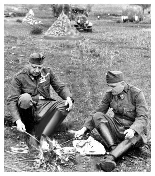 Frontline Doctors' Picnic (Hungary)