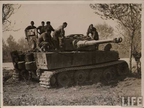 British Tiger IE