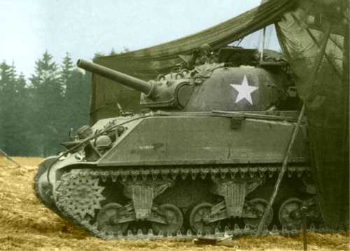 Netted Sherman