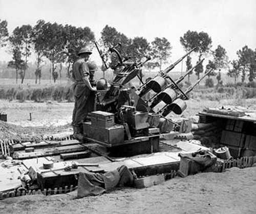 Crusader AA - Oerlikon