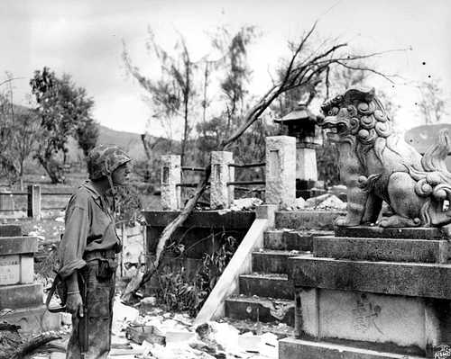 Marine meets lion