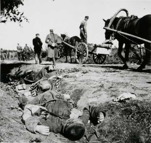 killed in motti