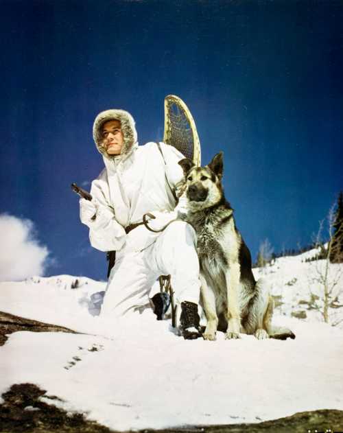 Soldier with Dog and Skis