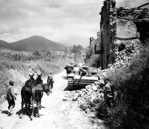 Foot soldiers with mules