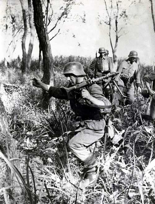 Patrol