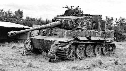 Abandoned Tiger
