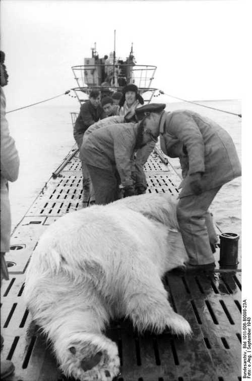 U-Boat in Arctic Ocean