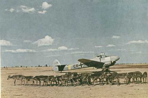 FW-58